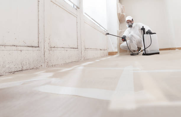 24/7 Emergency Mold Testing experts in San Antonio, FL